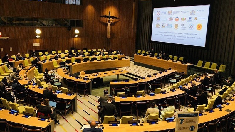 At the Arria-formula meeting of the United Nations Security Council (UNSC) on sea-level rise and implications for international peace and security. (Photo: baoquocte.vn)