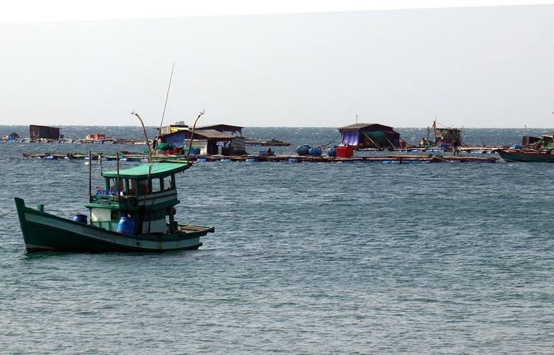  Fish cage farming on An Thoi sea, Phu Quoc city. (Photo: Le Huy Hai/VNA)