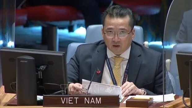 Ambassador Pham Hai Anh, Deputy Permanent Representative of Vietnam to the UN. (Photo: VNA)