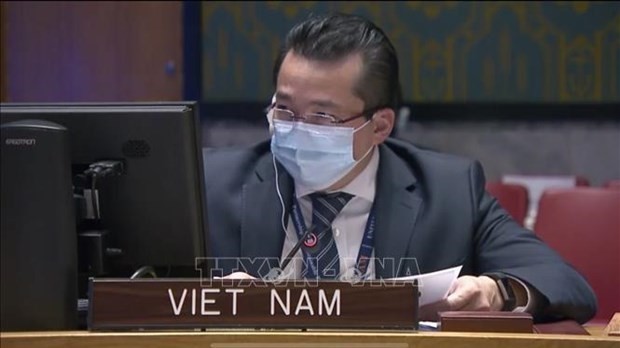 Ambassador Pham Hai Anh, Deputy Permanent Representative of Vietnam to the UN. (Photo: VNA)