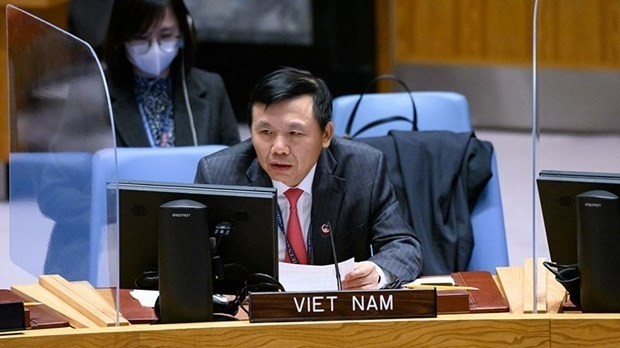 Ambassador Dang Dinh Quy, Vietnam's Permanent Representative to the United Nations, addresses the UNSC annual meeting on November 10. (Photo: VNA)