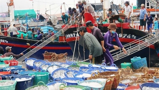 Fish is carried from boats at Ca Na Fishing Port in Thuan Nam district, south central province of Ninh Thuan. (Photo: Cong Thu/VNA)