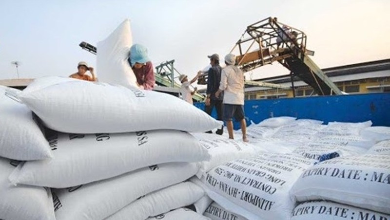 Trung An company has won bids to export a total of 48,763 tonnes of rice of various kinds to the ROK since early this year. (Photo: laodong.vn)