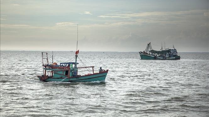 Fishing boats in Vietnam (Photo: VNA)
