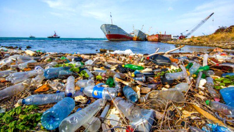 Around 12 million tonnes of plastic is being flushed into the oceans each year.
