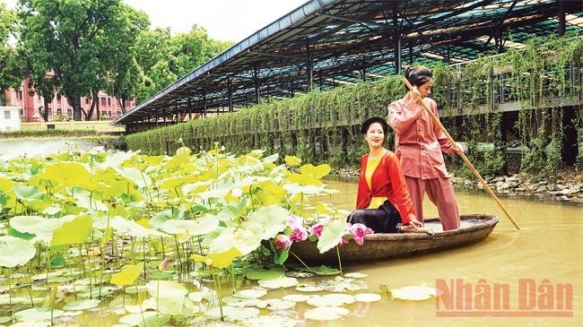 Experience of picking lotus flowers at the ancient river at Thang Long Imperial Citadel.