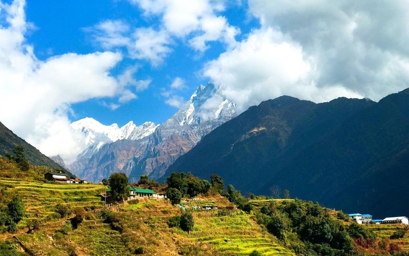 In autumn, the terraced fields of Gandaki Zone of northern-central Nepal are surrounded by ranges of majestic snowy mountains.