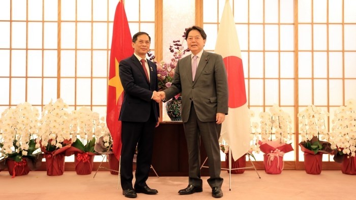 Vietnamese Foreign Minister Bui Thanh Son (L) and his Japanese counterpart Yoshimasa Hayashi. (Photo: VNA)