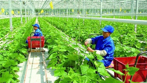 In search of greener pastures for sustainable growth in Vietnam