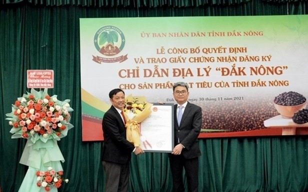 A representative of the National Office of Intellectual Property hands over the certificate of the Dak Nong geographical indication for pepper to a Dak Nongg province representative.(Photo: VNA)