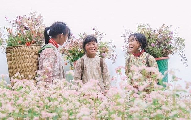 Children in Ha Giang stand at a buckwheat flower field (Photo: VNA)