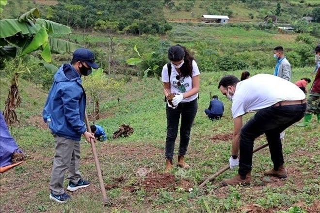 The embassy's staff joined Hoa Binh officials and local youth union members in planting trees after the tree handover ceremony. (Photo: VNA)