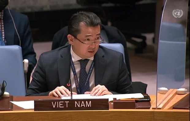 Ambassador Pham Hai Anh, Chargé d’Affaires a.i. of Vietnam to the United Nations (Photo: VNA)