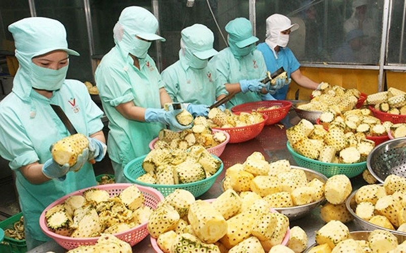 As many as 1,045 product codes licensed for Vietnamese enterprises to export their agricultural and food products to China (Illustrative image)