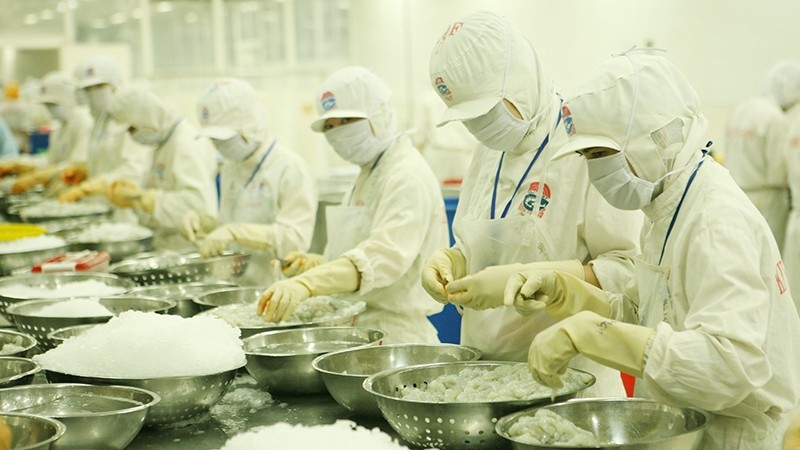 A production line at Kien Cuong Seafood Processing Import and Export JSC in Kien Giang province. (Photo: Tran Tuan)