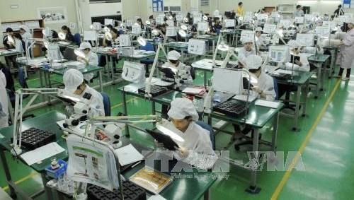 Workers at the Flexcom Vietnam limited company located in Bac Ninh's Yen Phong industrial park (Photo: VNA)