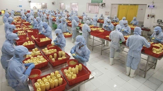 Vietnamese exporters are advised to change themselves to further exploit UK market. (Illustrative image/Source: VNA)
