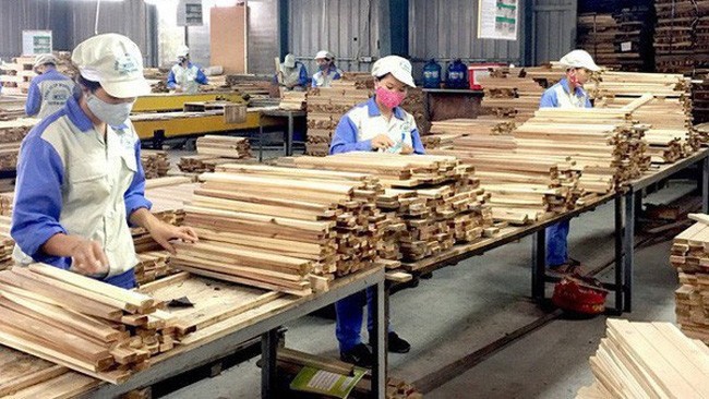 The total export revenue of wood and other forestry products reaches 15.87 billion USD in 2021, exceeding 20% of the year’s plan (Illustrative image)