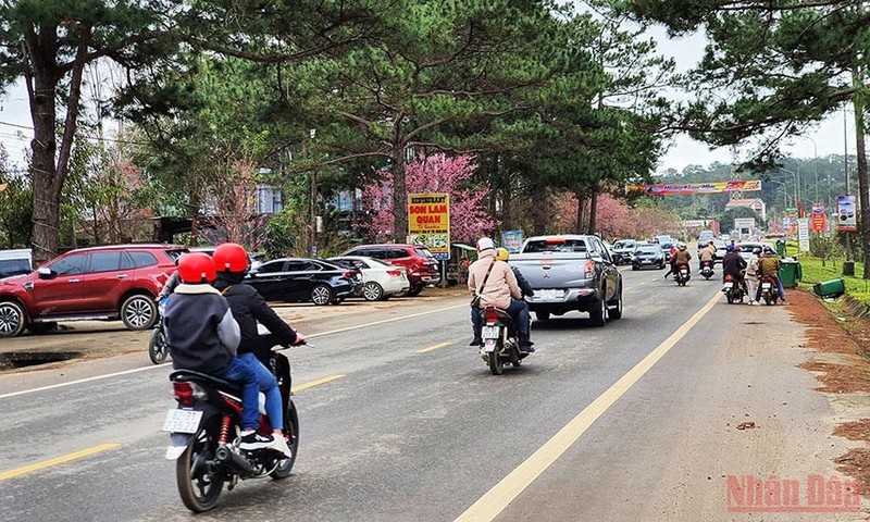 The roads in Mang Den town are crowded with vehicles of tourists.