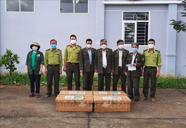The working group of the Centre for Rescue, Conservation and Development of Creatures receives the turtles from the Da Nang Forest Protection Department. (Photo: VNA)