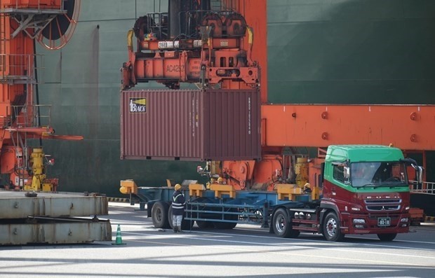 Unloading container cargos at Tokyo Port, Japan (Photo: VNA)