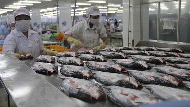 Catfish processing for export (Photo: VNA)