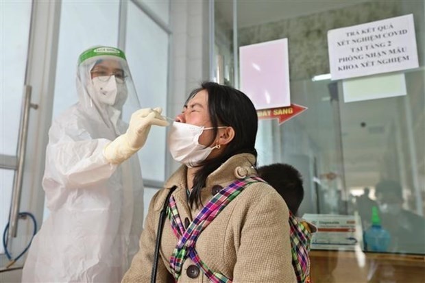 A medical worker collects sample for COVID-19 testing (Photo: VNA)