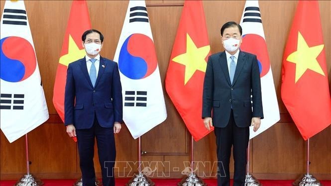 Minister of Foreign Affairs Bui Thanh Son and his RoK counterpart Chung Eui-yong (Photo: VNA)