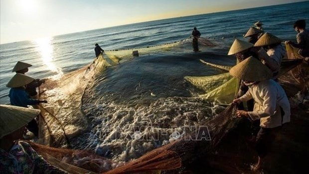 Vietnam to develop sustainable, responsible fishery (Photo: VNA)