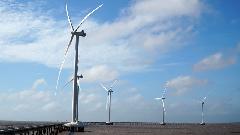 The wind farm in Soc Trang 