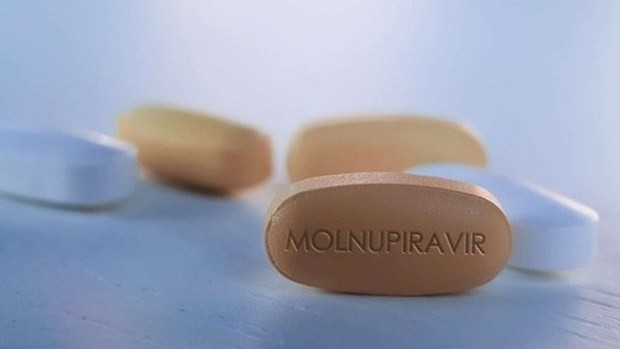 Ministry licences three domestically-produced Molnupiravir drugs to treat COVID-19 (Photo: covid19.gov.vn)