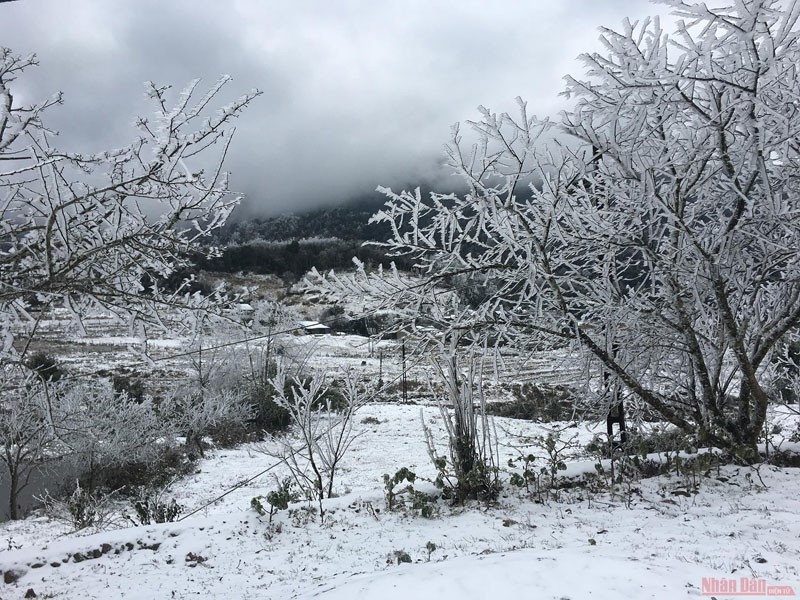 As the northern and north central regions languish in the grip of biting cold, frost has appeared in some high mountainous areas.