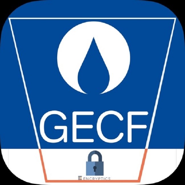 Iran is one of the founders of the Gas Exporting Countries Forum (GECF). 