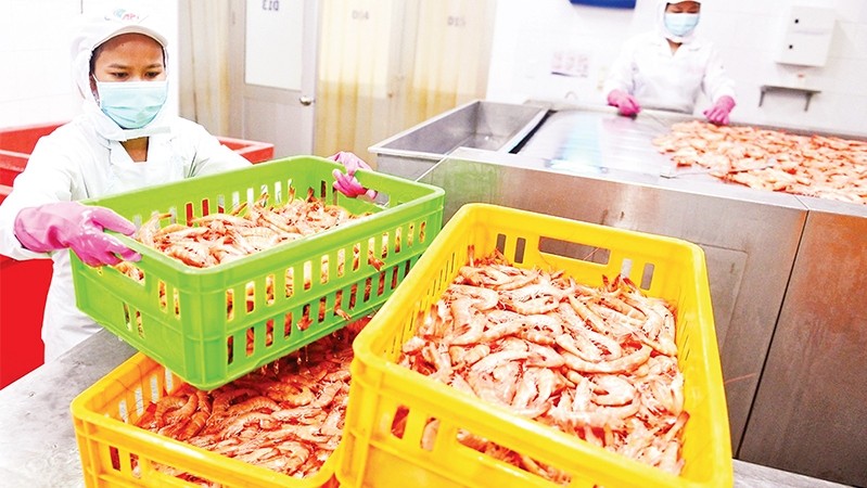 Workers at Saigon Aquatic Products Trading JSC are preparing seafood for export. (Photo: Phuong Vy)