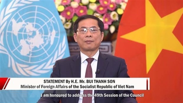 Minister of Foreign Affairs Bui Thanh Son (Photo: VNA)