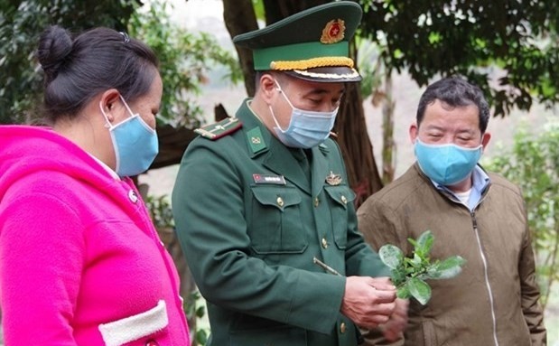A border guard guides local people in northern Dien Bien Province on tips to keep trees healthy and strong (Photo: VNA)