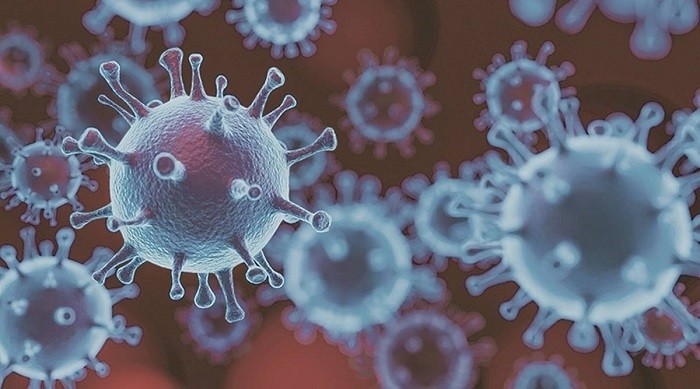 The BA.2 sub-variant of Omicron was estimated to be 11.6% of the coronavirus variants circulating in the United States as of March 5, the US Centers for Disease Control and Prevention said on Tuesday.