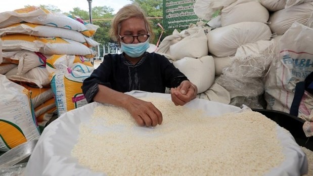 Thai rice prices are expected to increase by 5 percent in the second quarter. (Photo: Bangkok Post)