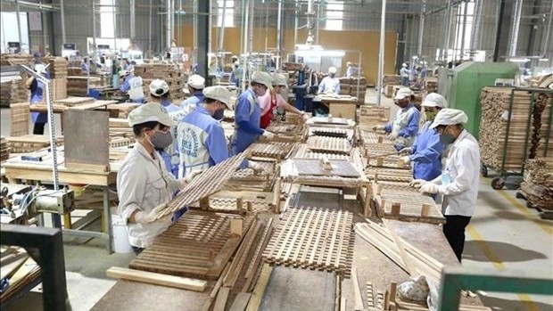 Vietnam's wood industry seeks to ensure self-sufficiency in domestic materials. - Illustrative image (Photo: VNA)