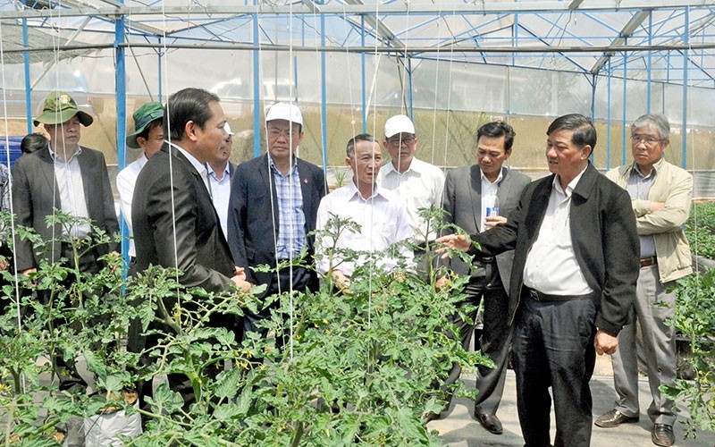 Leaders of Lam Dong province visit the farm of Sunfood Da Lat CO.OP