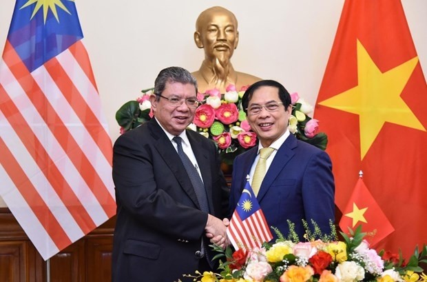 Foreign Minister Bui Thanh Son (R) receives his Malaysian counterpart Saifuddin Abdullah (Photo: VNA)