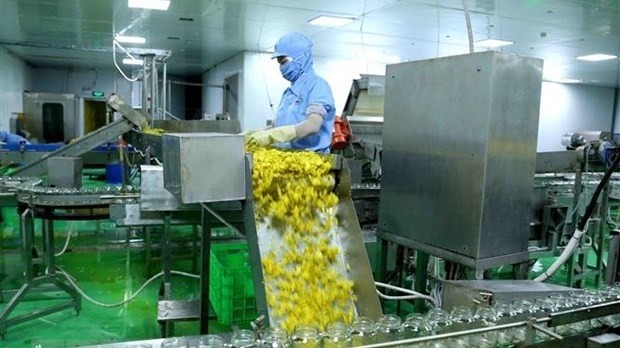 A chili packing line for export in Vietnam (Photo: VNA)
