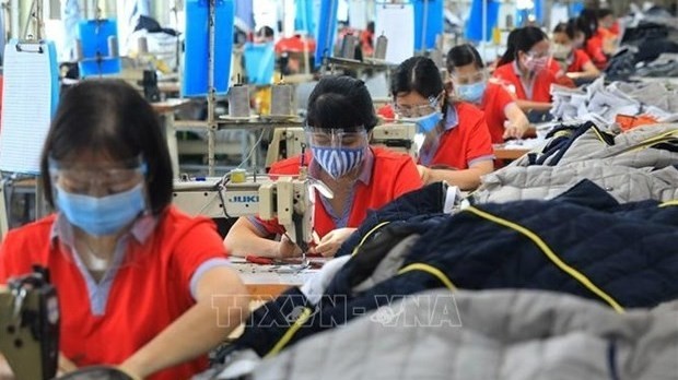 The domestic labour market is bouncing back. (Photo: VNA)