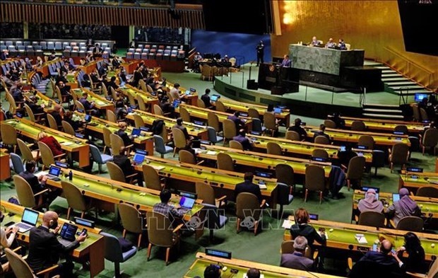 A working session of the UN General Assembly (Photo: AFP/VNA)