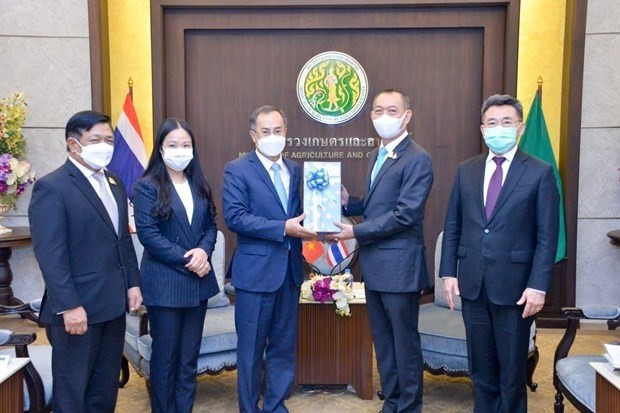 Thai Minister of Agriculture and Cooperatives Chalermchai Sri-on (the second from right) presents gift to Vietnamese Ambassador to Thailand Phan Chi Thanh on April 28. (Photo: VNA)