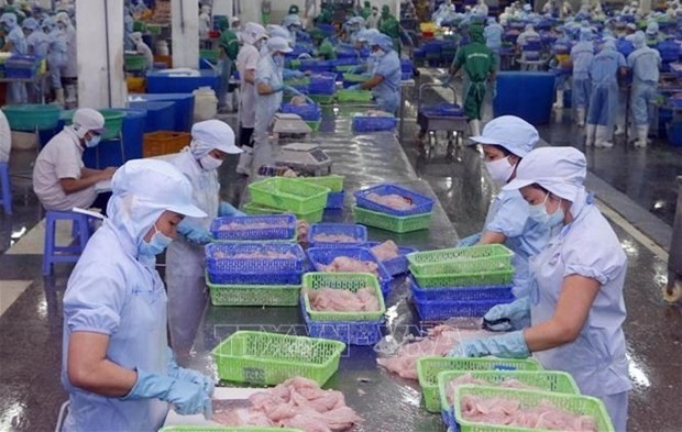A fishery processing factory in Vietnam. The US is a highly potential market for Vietnamese goods. (Photo: VNA)