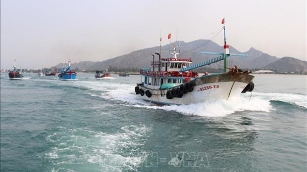 Fishing vessels of Ninh Thuan province (Photo: VNA)