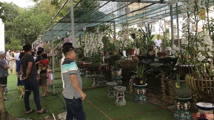 The 2022 Da Nang Orchid Festival attracts a large number of visitors. (Photo: NDO)