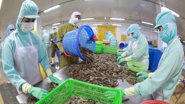 Vietnam’s seafood exports enjoy strong surge despite challenges. (Image for illustration/Source: VNA)