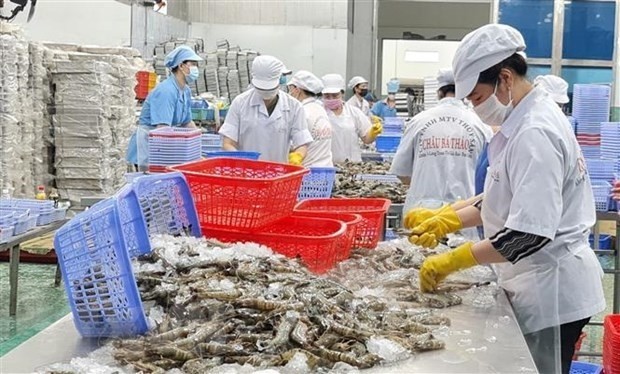 Workers at a shrimp processing factory in Vietnam (Photo: VNA)